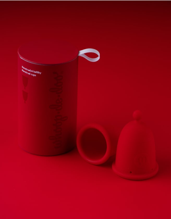 Whoopdedoo Kalíšek duo